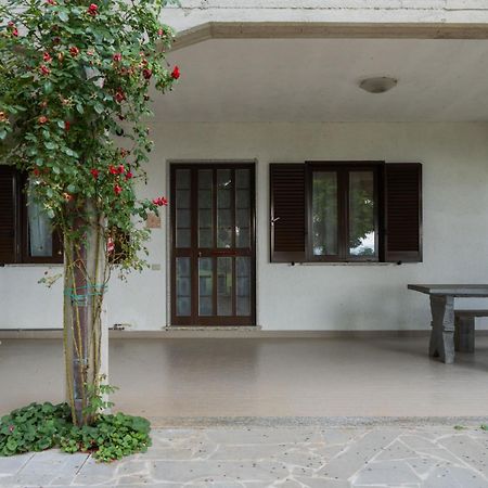 Apartment Rosa Bacara By Interhome Bolsena Exterior photo